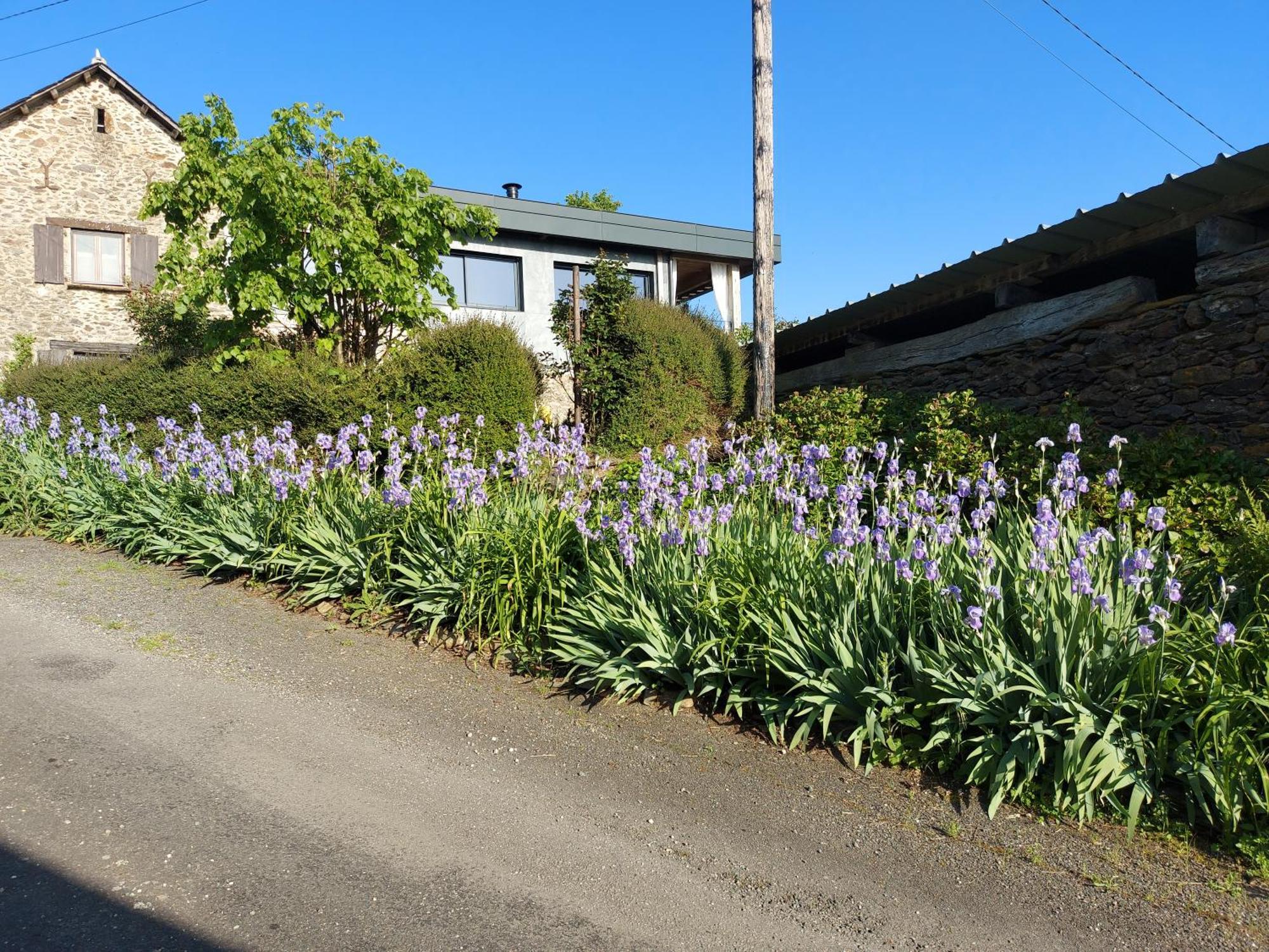Bed and Breakfast Louradou-Sur-Ciel à Jouqueviel Extérieur photo